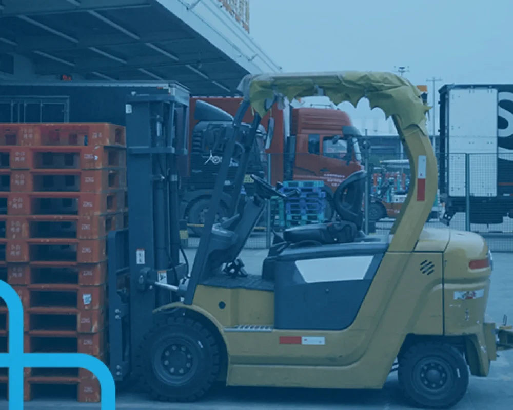 رافعة شوكية رافعات شوكية