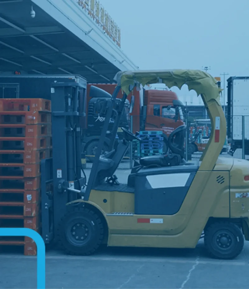 رافعة شوكية رافعات شوكية